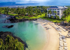 페어몬트 오키드